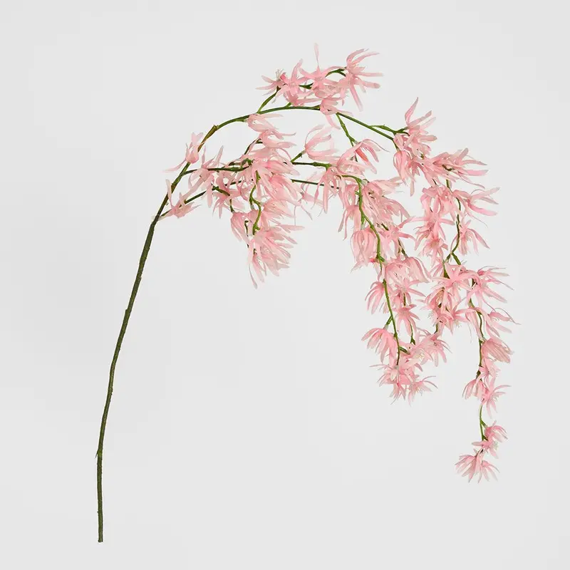 1.1M Pink Orchid Spider Plant Hanging Basket 1