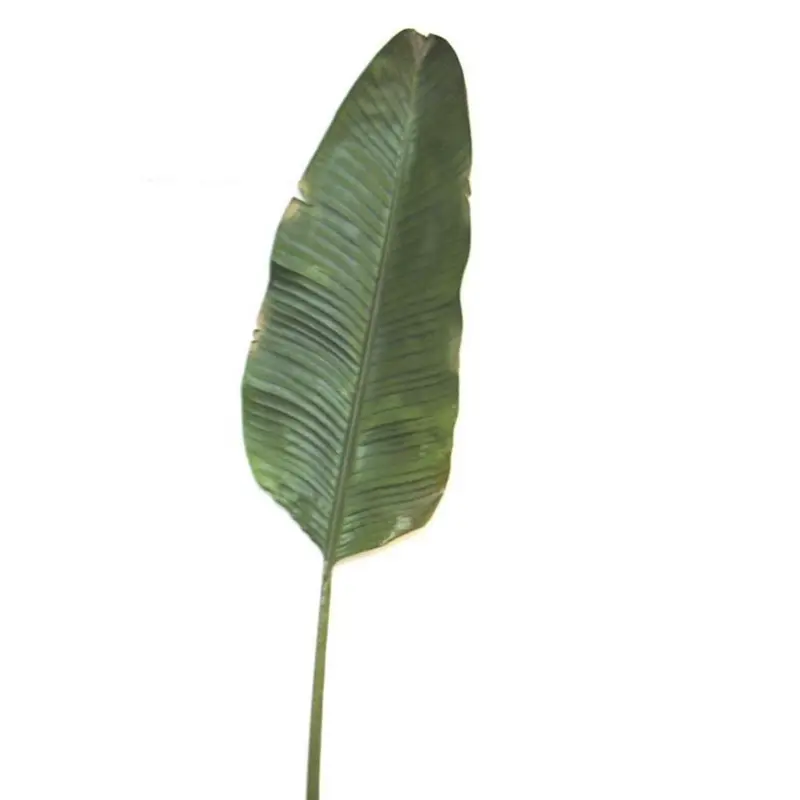 1.7-Metre Artificial Banana Leaf Plant In Natural Green 1