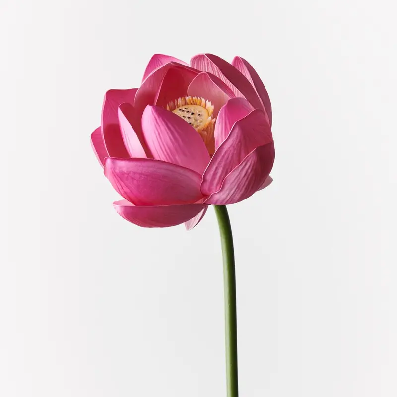 12-Stem Lotus Floral Arrangement – Natural Elegance 1
