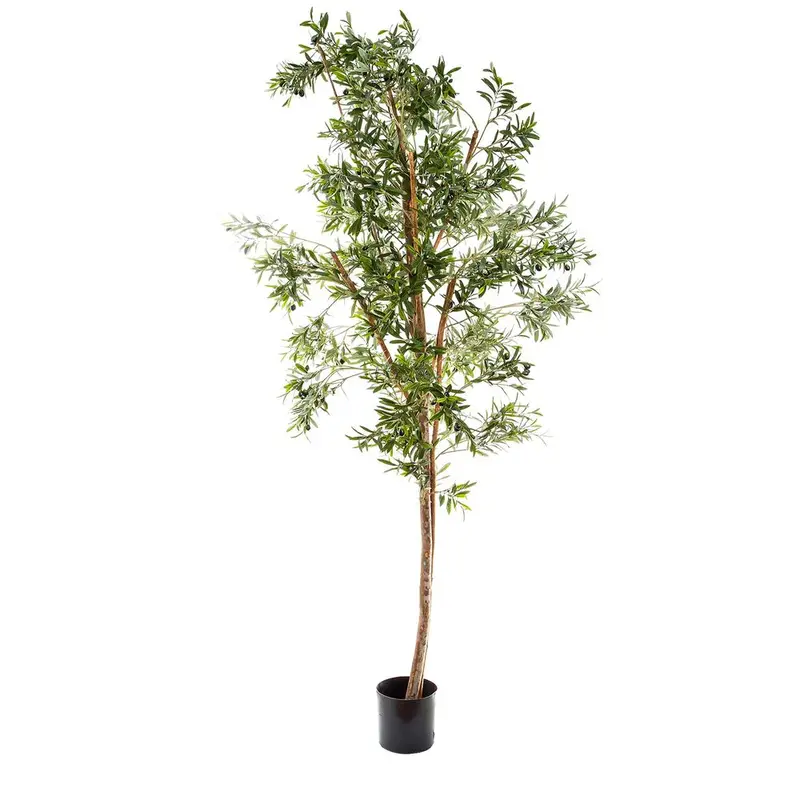 2.4-Meter Olive Tree – Lush, Realistic Indoor Or Outdoor Focal Point 1