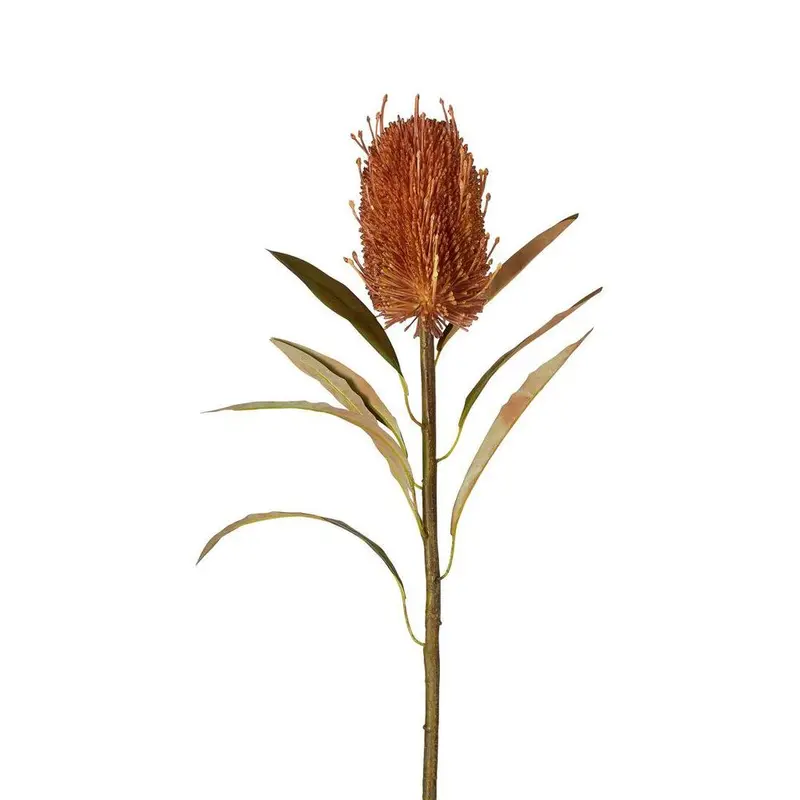 56Cm Tan Dried-Look Banksia Stem – Textured Artificial Flower 1