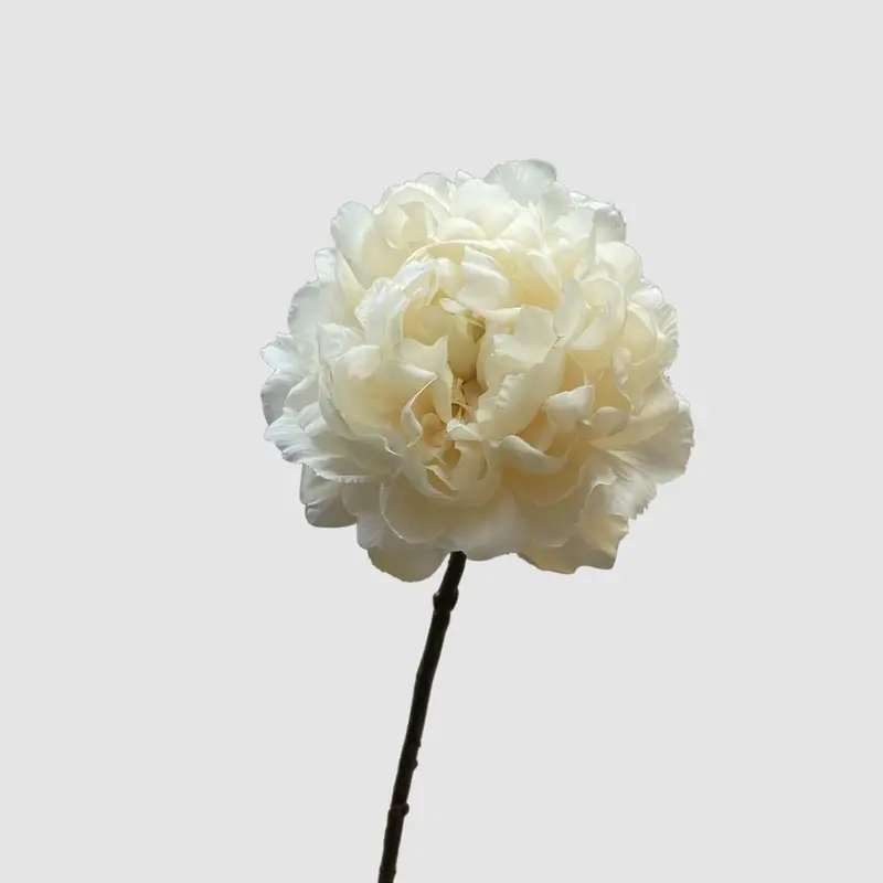 64Cm White Peony Artificial Flower 1