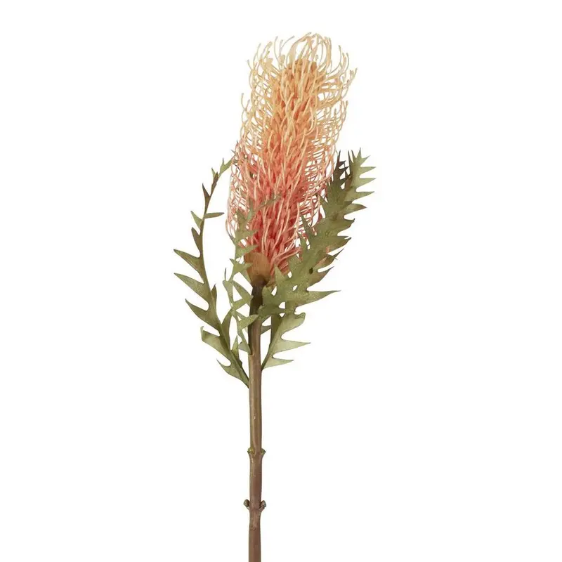 75Cm Peach-Coloured Dried Banksia Stem 1