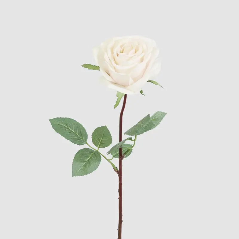 8-Stem Peach Rose Bouquet – Featuring 5 Large & 3 Small Blooms 1