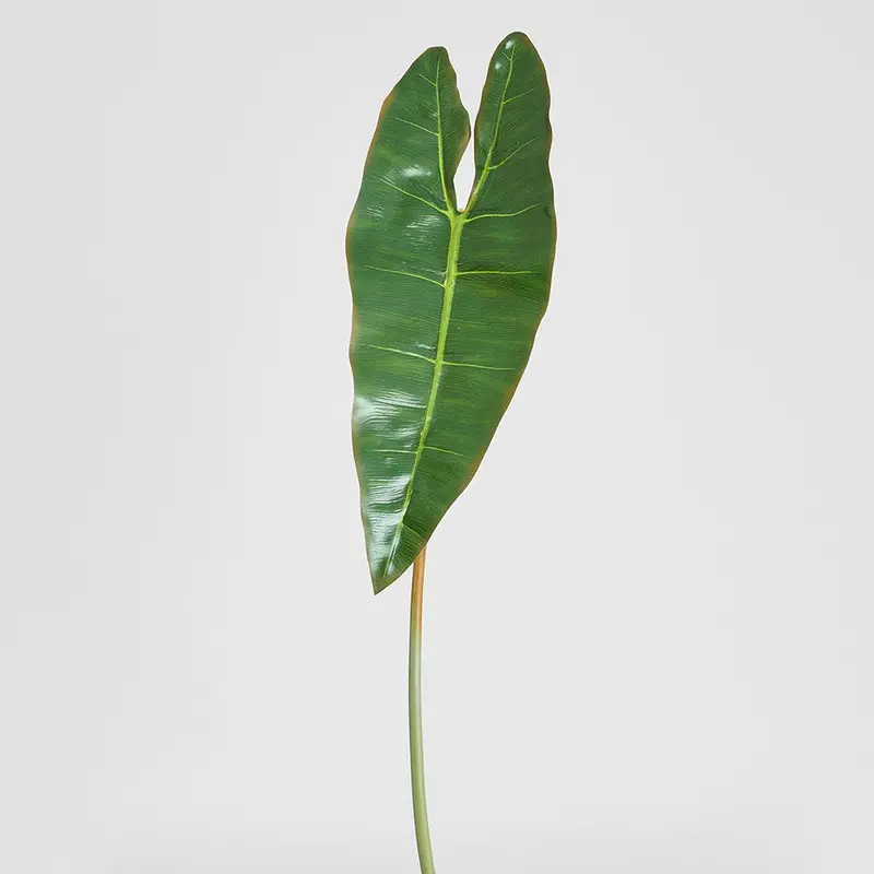 81Cm Philodendron Spiritus Sancti Artificial Leaf 1