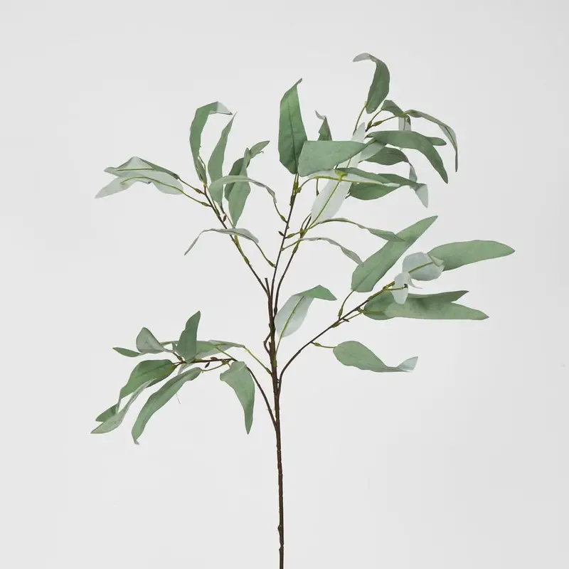 98Cm Eucalyptus Saligna Branch – Tall Natural-Looking Stem 1
