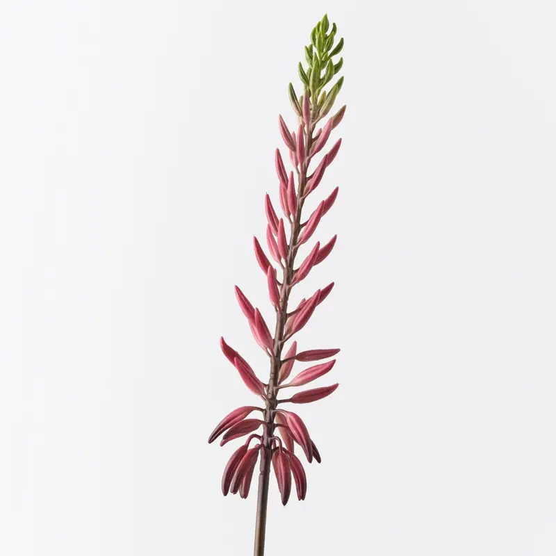 Agave Bloom Spray – Natural-Looking Artificial Flower Stem Pack (12 Pcs) 1