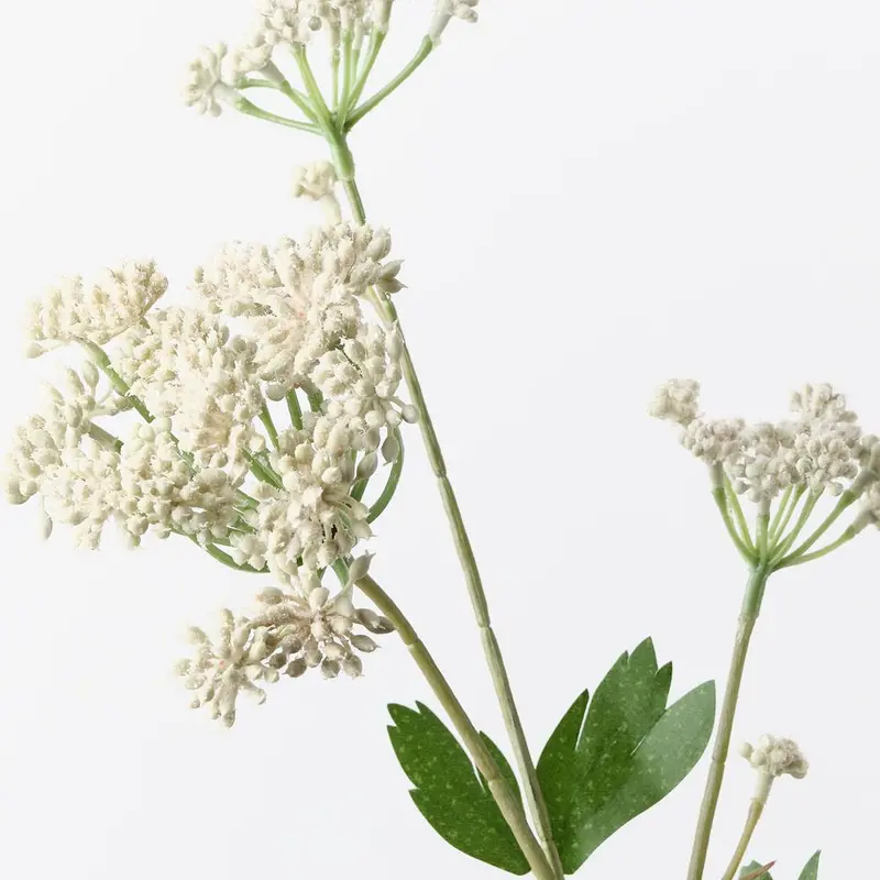 Angelica Floral Spray – 12-Stem Decorative Bundle 1
