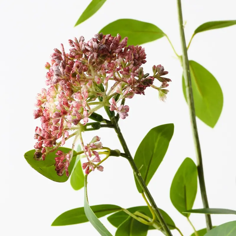 Angelica Flower Spray – 12-Stem Arrangement 1