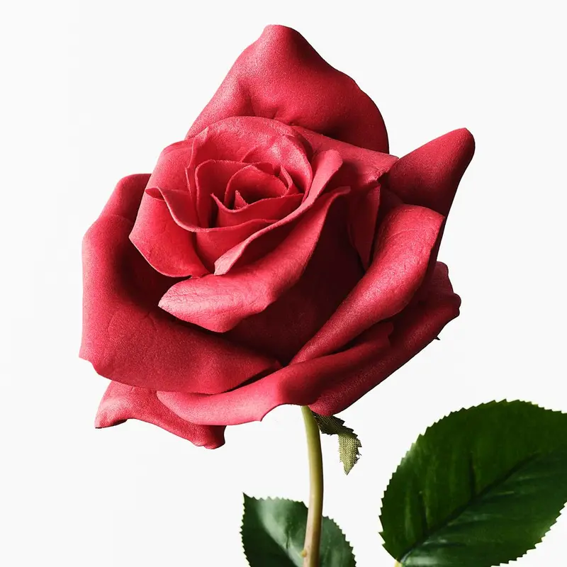 Artificial Rose Celine – 12-Stem Pack 1