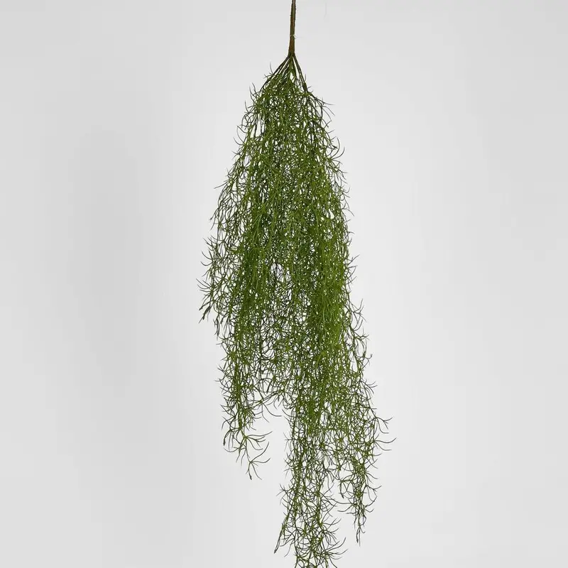 Asparagus Fern Hanging Spray – 138Cm Cascading Greenery 1