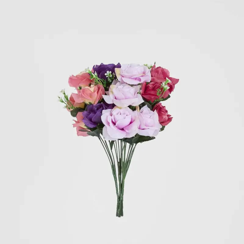 Assorted Rose Bushes – Box Of 60 1