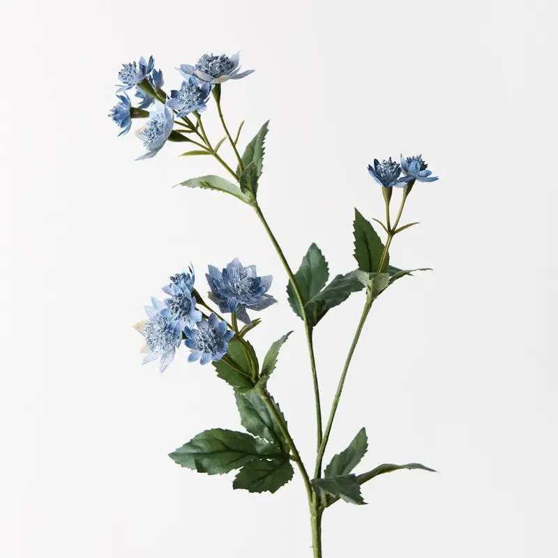 Astrantia Floral Spray – Bulk Pack Of 24 Detailed Silk Stems 1