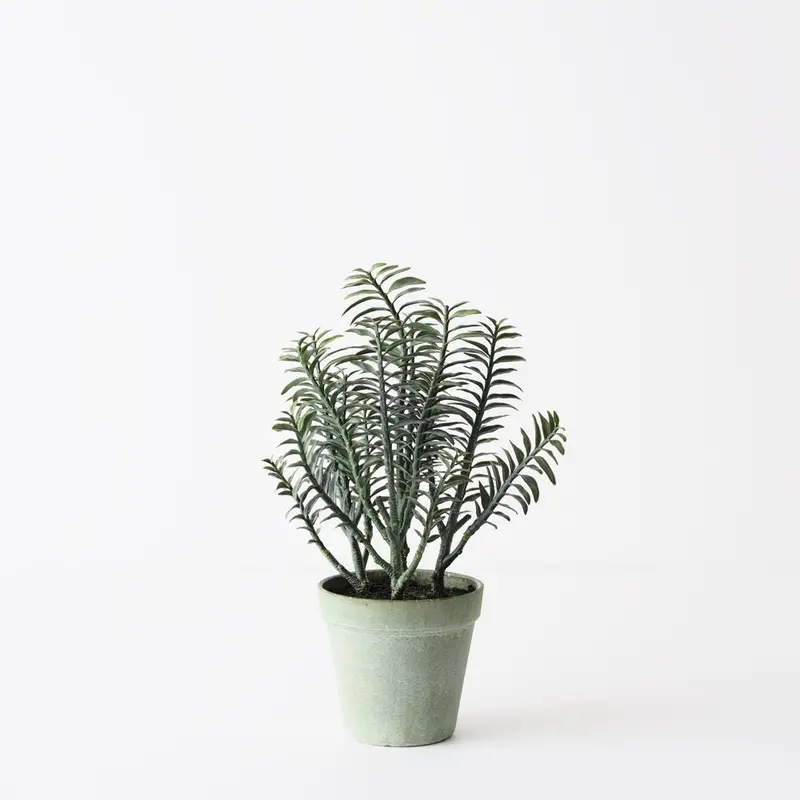 Backbone Plant Sextet – Sleek Artificial Greenery Arrangement Set Of 6 1
