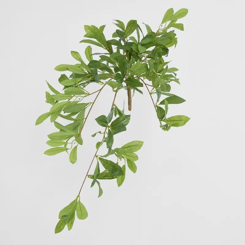 Bay Leaf Hanging Foliage Arrangement 1