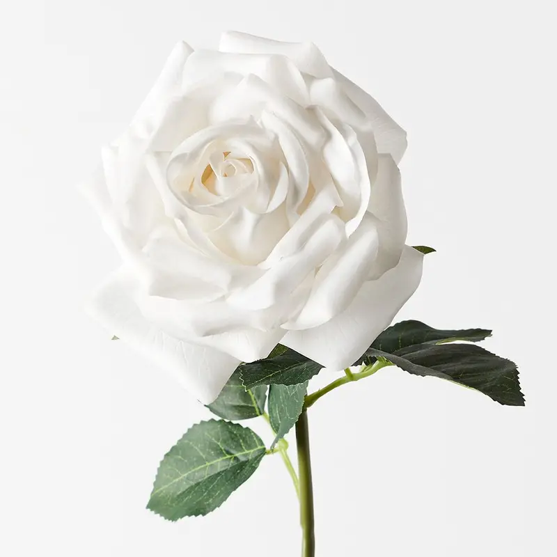 Bella Rose Collection – Soft-Toned Artificial Flower Pack (12 Stems) 1