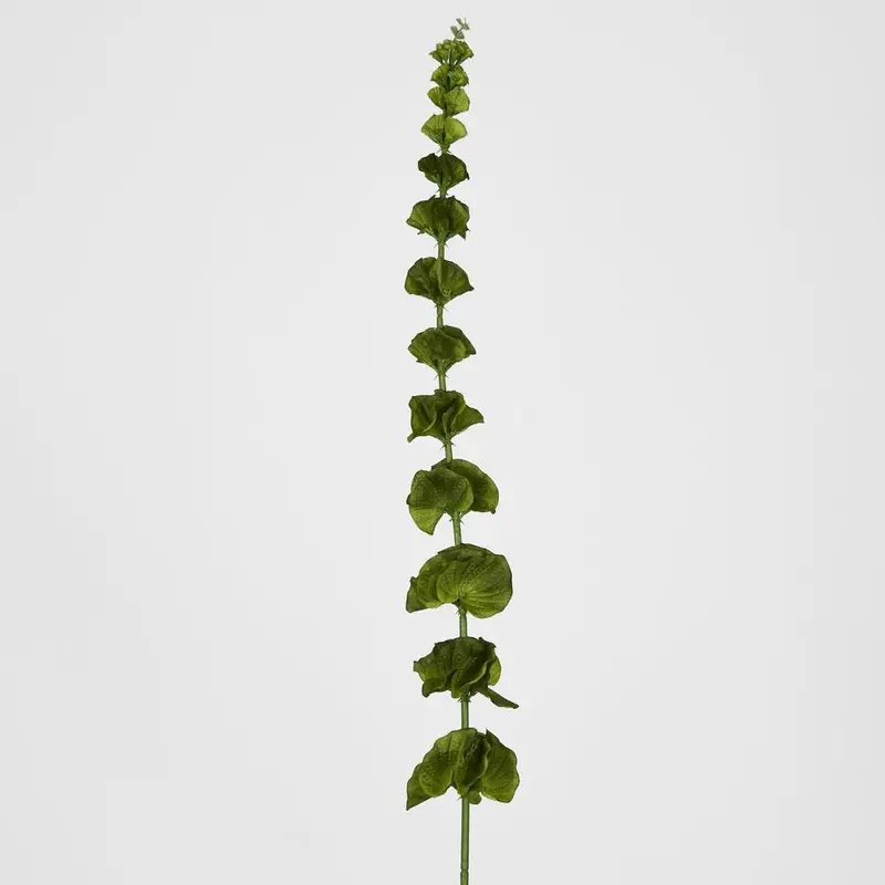 Bells Of Ireland Stem – Tall, Elegant Green Faux Flower 1