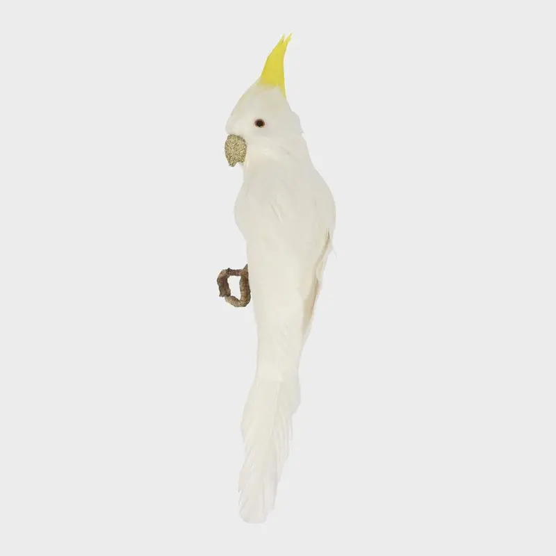 Bert The Cockatoo Decorative Figurine 1