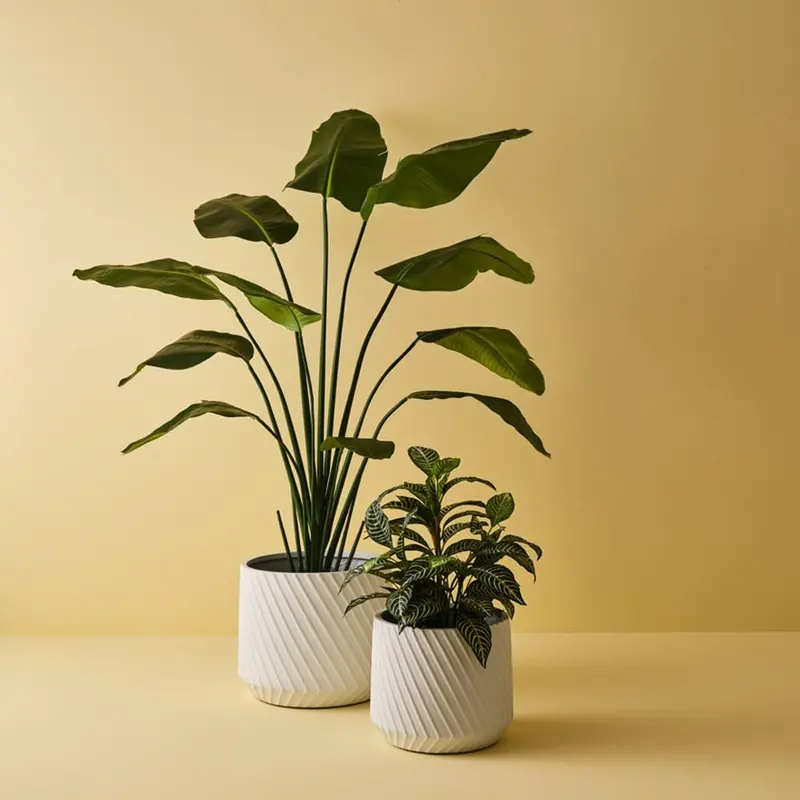 Bird Of Paradise Artificial Plant – 2-Stem Display 1