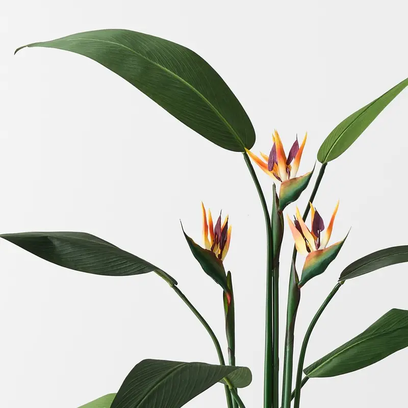 Bird Of Paradise Artificial Plant Pair 1