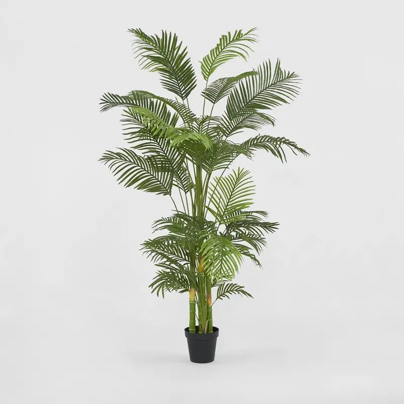 Black-Potted Artificial Palm Tree – 210Cm Real-Touch Statement Plant 1