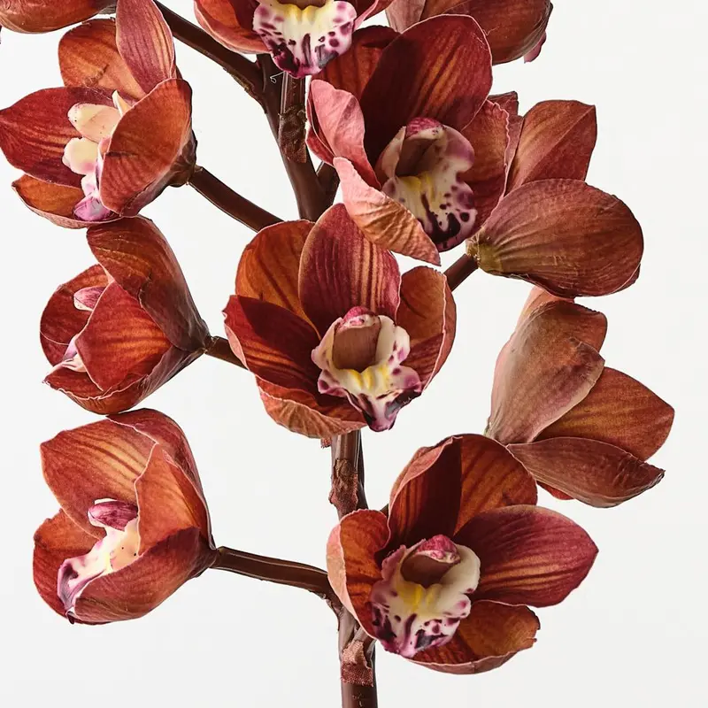 Botanical Cymbidium Orchid Spray – 6-Piece Lifelike Set 1