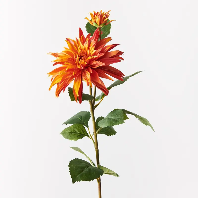 Botanical Dahlia Spray – 12-Piece Arrangement 1