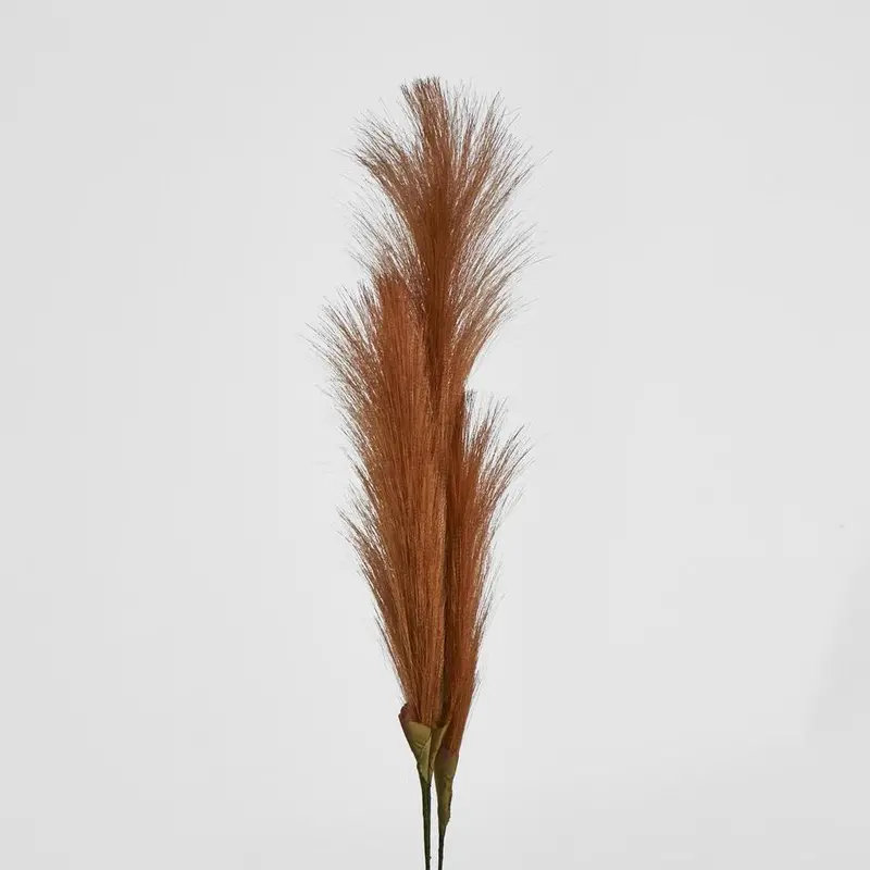 Brown Pampas Grass Spray – Set Of 3 Stems 1