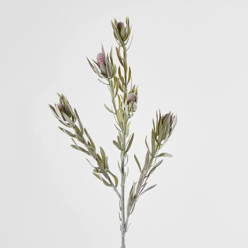 Burgundy Protea Spray – 77Cm Exotic Artificial Flower Stem 1