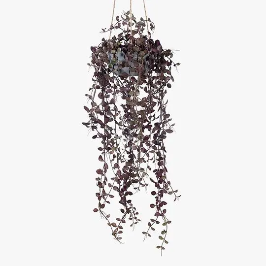 Button Fern Hanging Bowl Arrangement – 2-Piece Compact Greenery Set 1