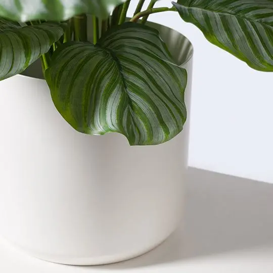 Calathea Faux Plant – Bold Patterned Leaves (2-Pack) 1