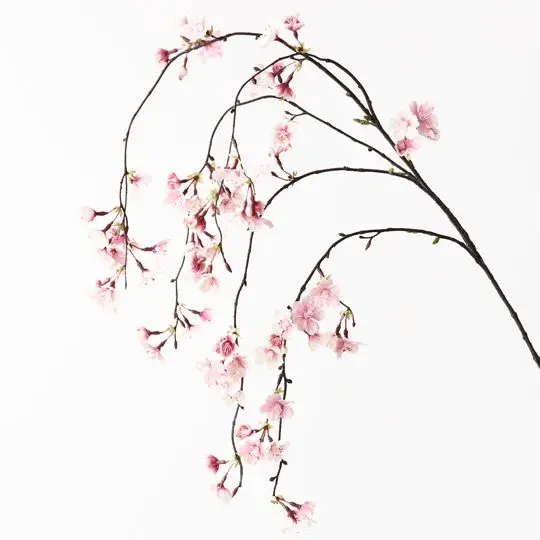 Cherry Blossom Hanging Arrangement (12 Stems) 1