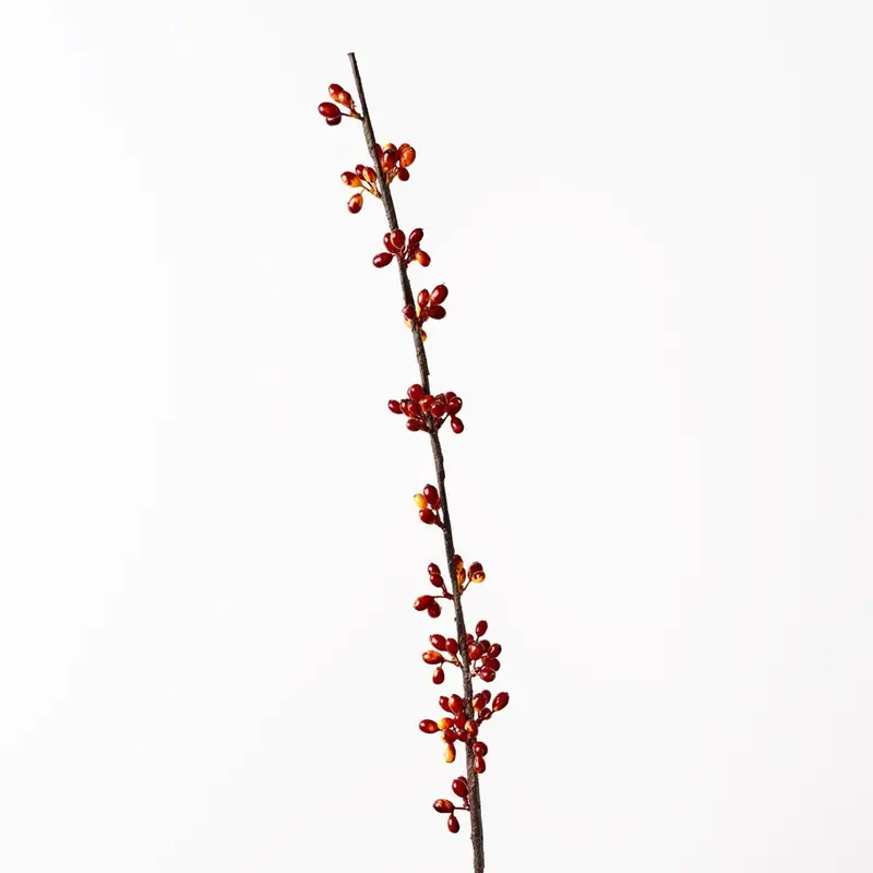 Coffee Bean Floral Spray – Dozen Pack 1