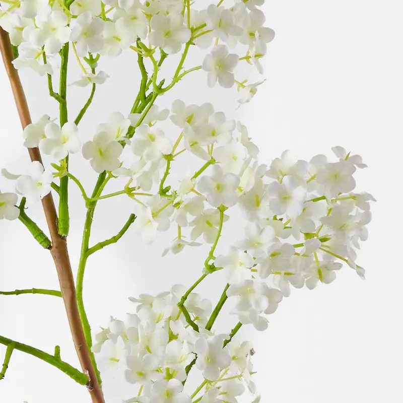 Cohosh Flowering Stem Set – 6-Piece Blooming Arrangement 1