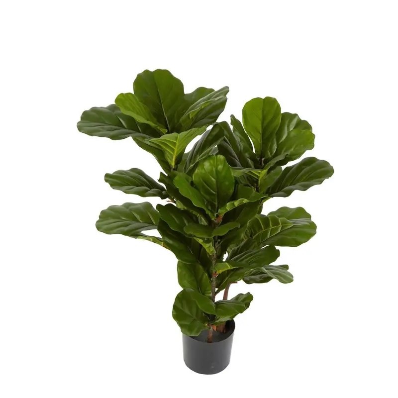 Compact Fiddle Leaf Fig – 93Cm Real-Touch Tabletop Plant 1