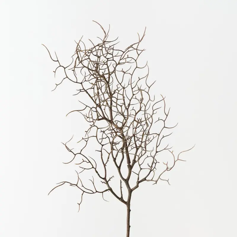 Curly Twig Spray – 12-Stem Decorative Set 1
