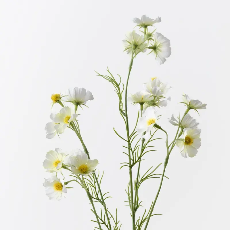 Dainty Cosmos Faux Floral Stems – Set Of 12 1