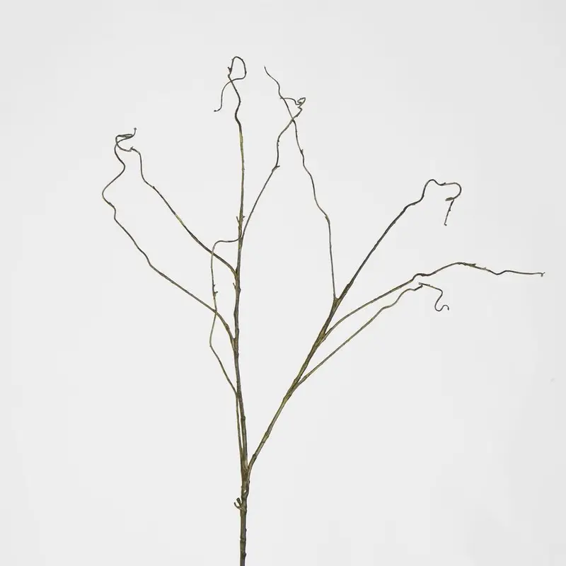 Dark Brown Curly Twig Accent 1