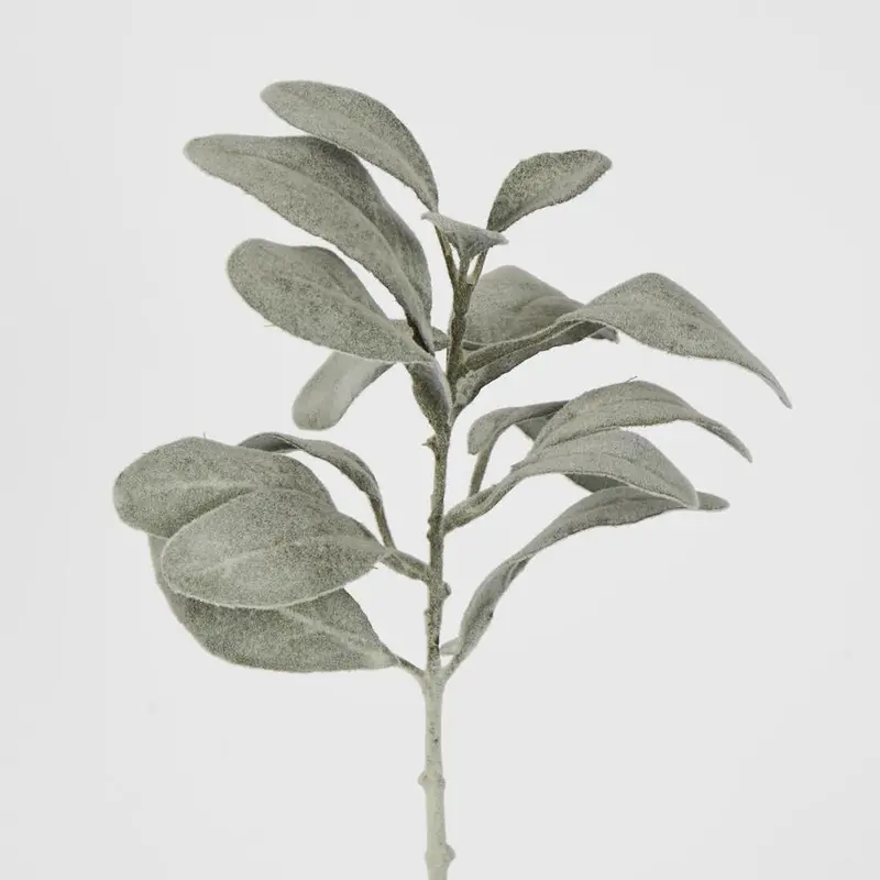 Dark Green Lamb’S Ear Leaf Spray 1