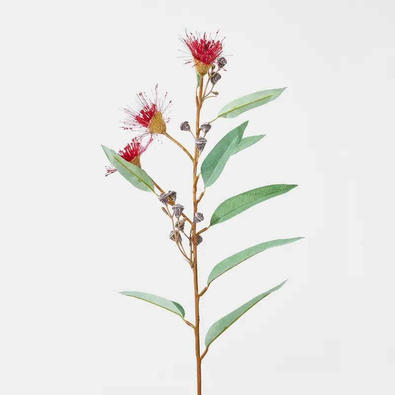 Dark Red Flowering Eucalyptus Stem For Modern Bouquets 1