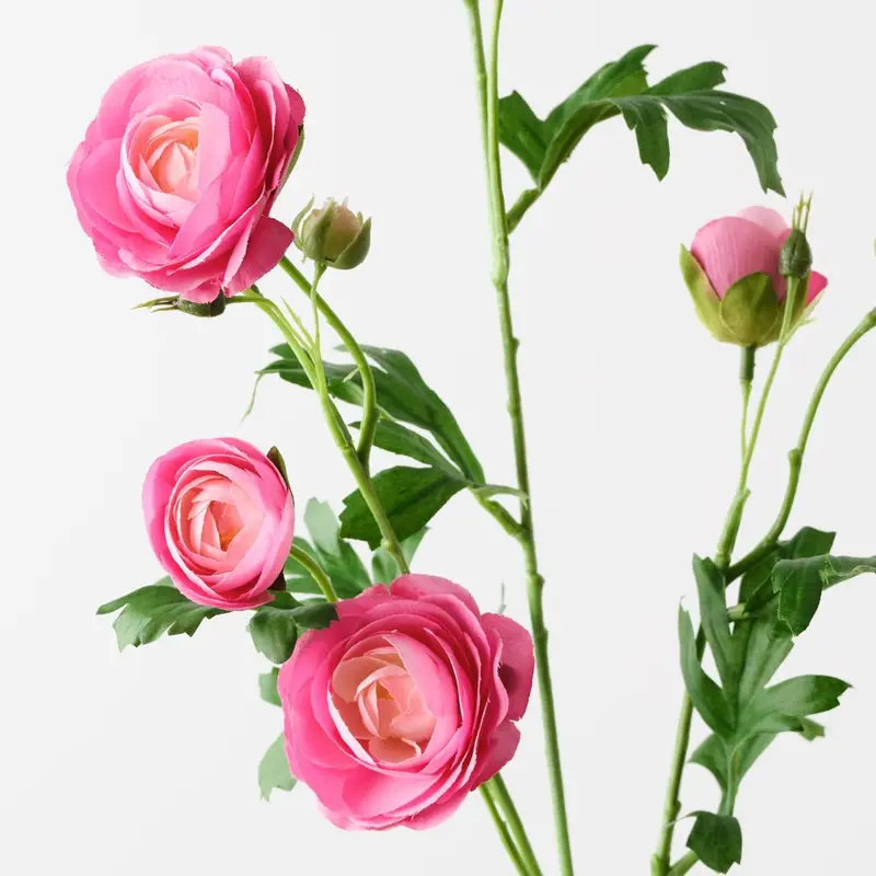 Delicate Ranunculus Faux Floral Stems – Set Of 12 1