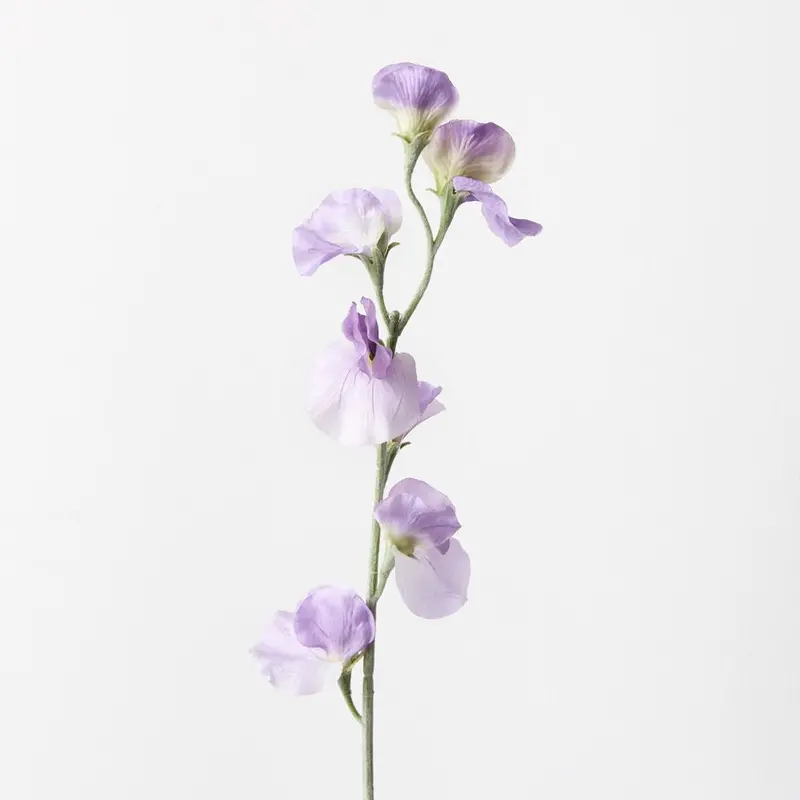 Delicate Sweet Pea Silk Flowers – Set Of 12 Stems 1