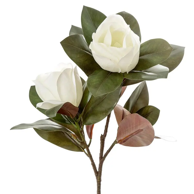 Double-Headed Magnolia Stem – 85Cm White Floral Arrangement 1
