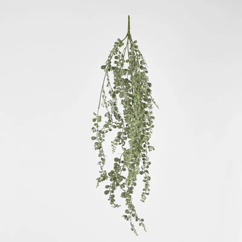 Dried Baby Eucalyptus Hanging Bundle – Soft Grey-Green Accent 1