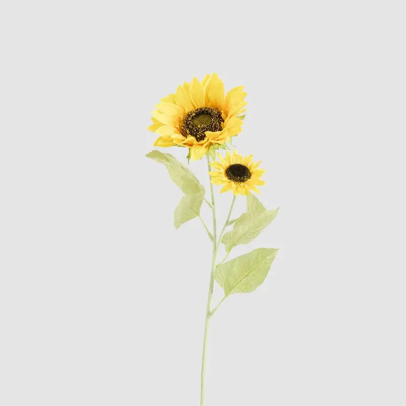 Dried Sunflower Stem With Dual Blooms – Botanical Accent 1