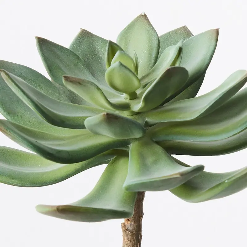 Echeveria Succulent Spray – 12-Piece Realistic Artificial Plant Set 1