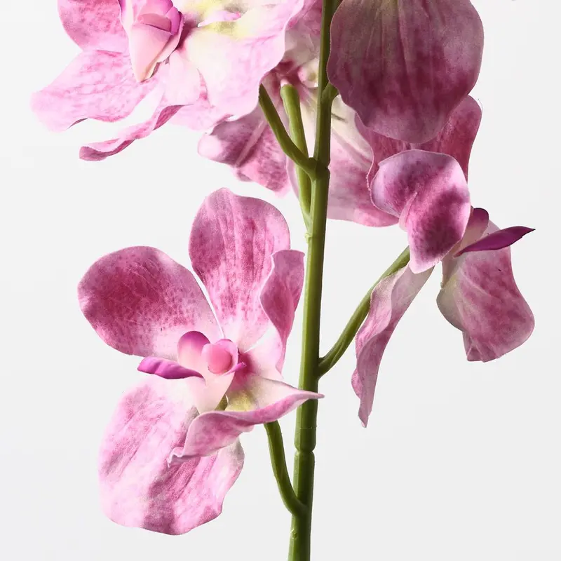 Elegant Orchid Vanda Faux Flowers – Bundle Of 12 1
