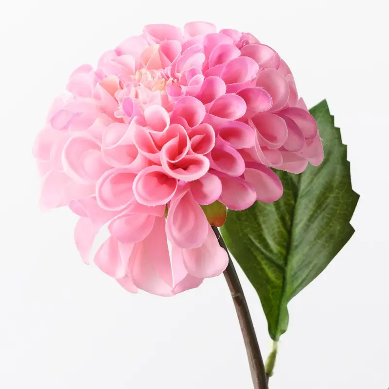 Elegant Pompon Dahlia Craft Stems – 12 Per Set 1