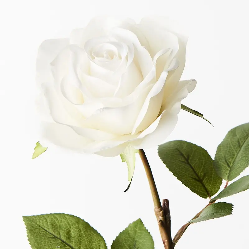 Elegant Rose Charlotte Stems – 12-Piece Silk Flower Bundle 1