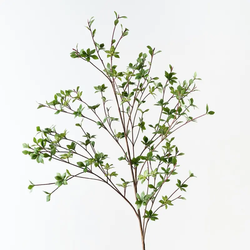 Enkianthus Foliage Spray – 2-Piece Set 1